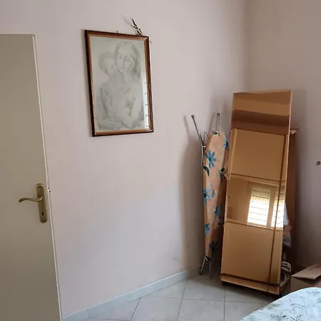 Il Cardellino